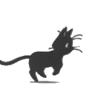 Transparente transparent black cat GIF on GIFER - by Anariel