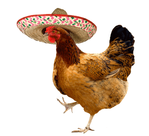 GIF transparent chicken dance - animated GIF on GIFER - by Dolar