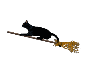 Transparente transparent black cat GIF on GIFER - by Cekelv