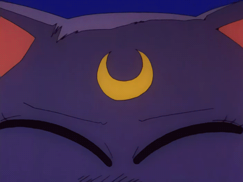 Sailor Moon Cat Anime Gif On Gifer By Felolore