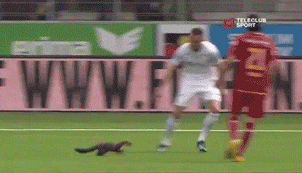 https://i.gifer.com/2iqN.gif