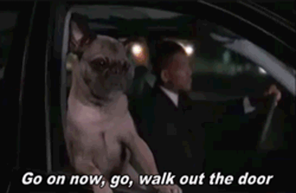 Who like the dogs. Мопс Фрэнк люди в черном. Люди в черном 2 пес. Люди в черном 2 Фрэнк. Мопс люди в черном gif.