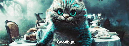 Cat Goodbye Thoughts Gif On Gifer - By Dulmaran