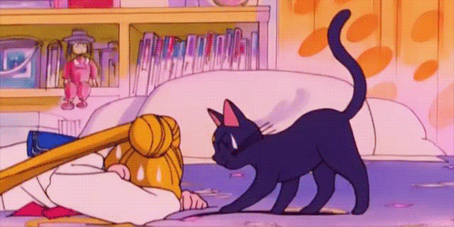 Cat Anime Sailor Moon Gif On Gifer By Dardin