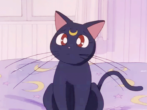 Sailor Moon Luna Anime Gif On Gifer By Kikree