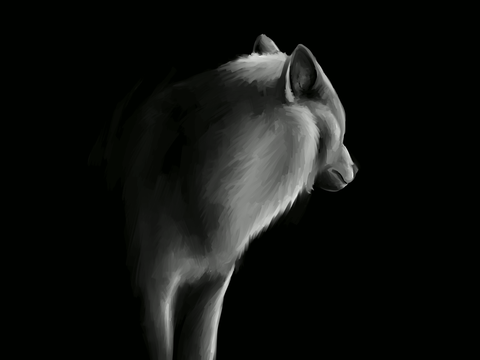 Loup Wolf Lobo Gif On Gifer By Adorameena