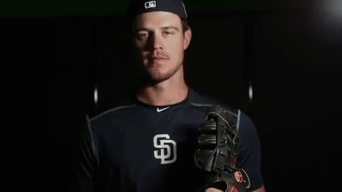 wil myers gifs