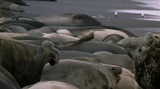 Https Encrypted Tbn0 Gstatic Com Images Q Tbn 3aand9gcq19y2d9cym Tft8oiu7caskzrgkrpn4vgzcw Usqp Cau