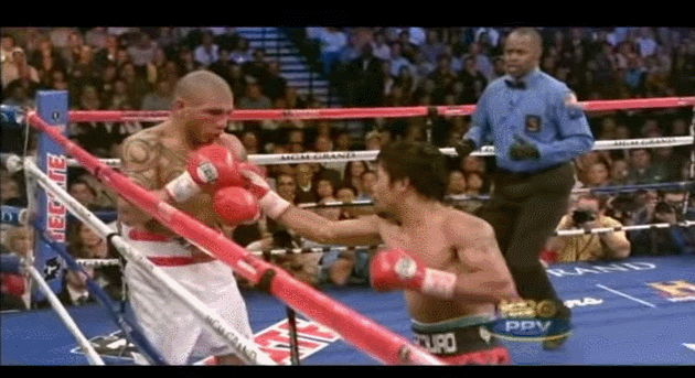 2uci.gif