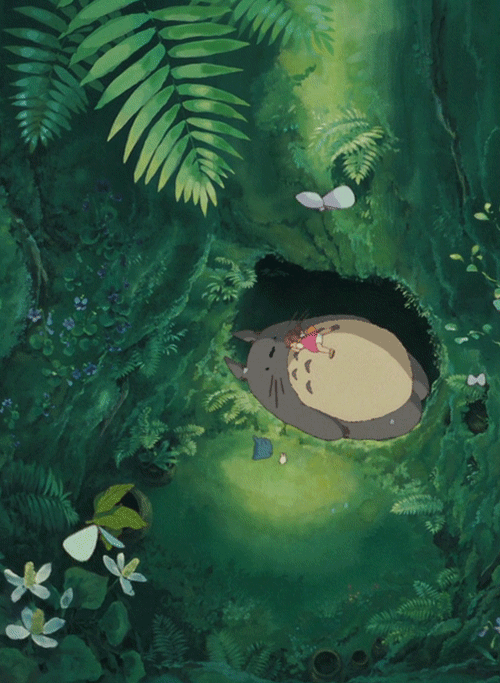 Totoro GIF sur GIFER - par Flamedefender