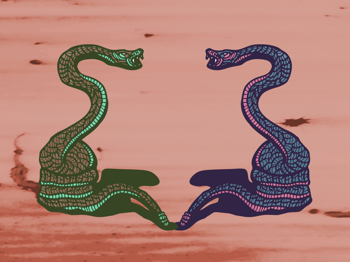 Отношения между змеей и змеей. Змеи переплелись. Змеи Эстетика. Змеи gif. Влюбленные змеи.