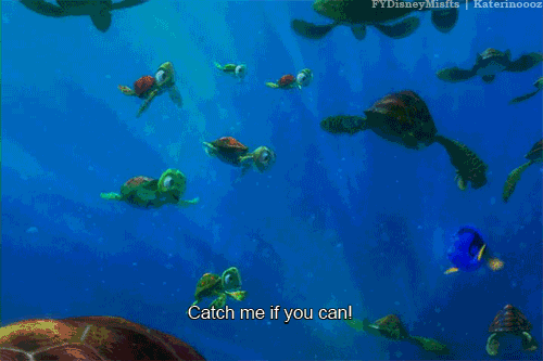 finding nemo quotes squirt