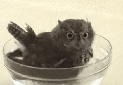 Gif Zeit Baby Schlecht Animated Gif On Gifer By Saithithris