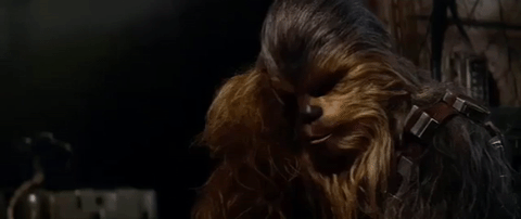 GIF: Chewbacca  