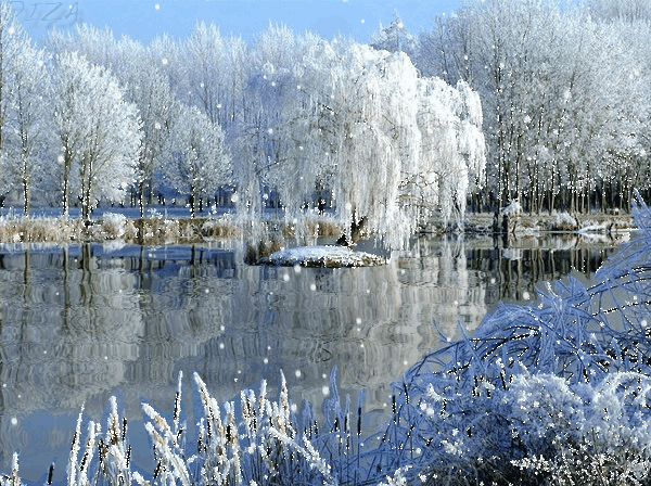 Landscape landscapes winter GIF on GIFER - by Purecliff