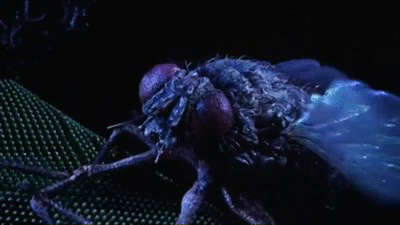 GIF beetlejuice - animated GIF on GIFER - by Nalmegda