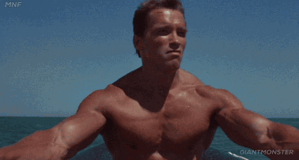Arnold Schwarzenegger Dylan GIFs