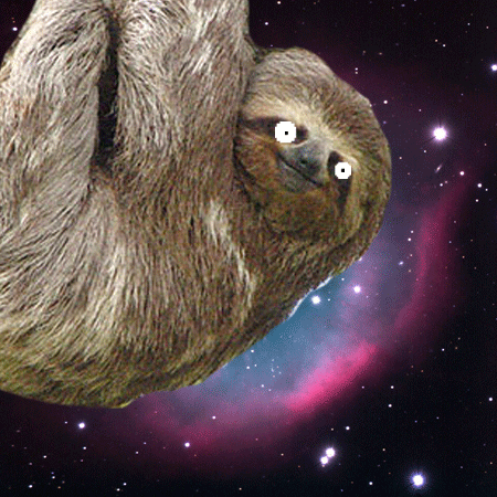 10/50/100Pcs New Cute Sloth Animal Anime Stickers Relax Life Funny Text  Cartoon Waterproof | Wish