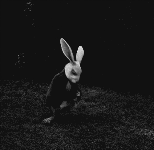 Крутой кролик. Грустный кролик. Депрессивный заяц. Rabbit gif