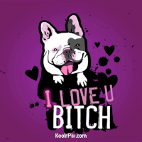 girl-models-sexy-bitch-quotes-chicks-home-made