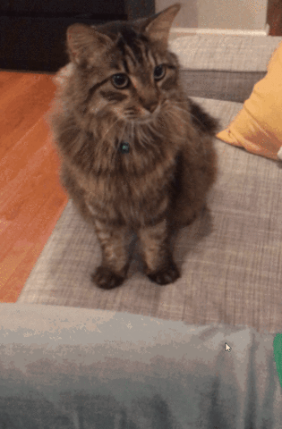 3DIi.gif