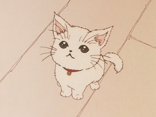 Manga kitty cat cat GIF on GIFER - by Dagdadar
