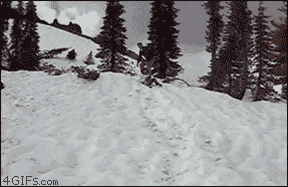 3F6k.gif