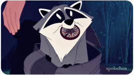 Meeko GIF on GIFER - by Saberray