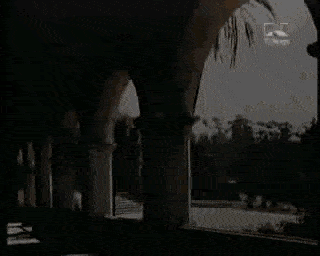 3Ntk0.gif