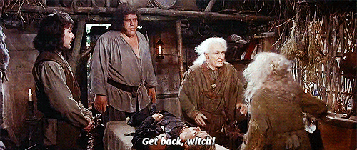 andre the giant princess bride gif