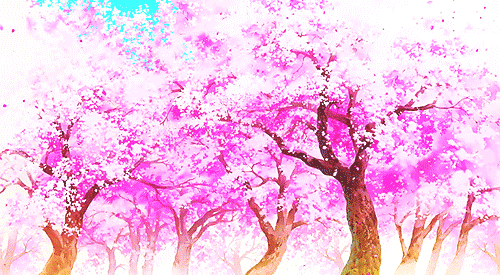 GIF sakura trees cherry blossom - animated GIF on GIFER - by Rainsong