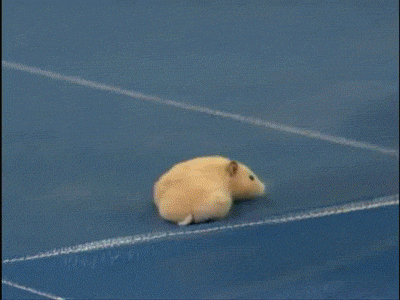 3Q2i.gif