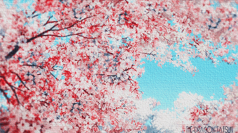 Sakura cherry blossom cherry blossoms GIF on GIFER - by Chillwood