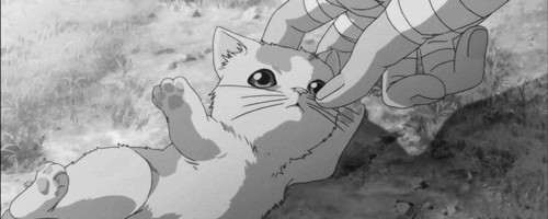 funny cat anime cat gif  WiffleGif