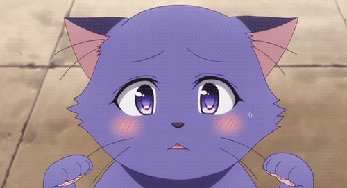 cute cats anime gif