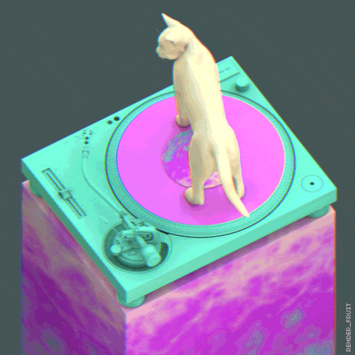 Turntable cat GIF on GIFER - by Ke