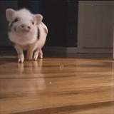 3Sr0.gif