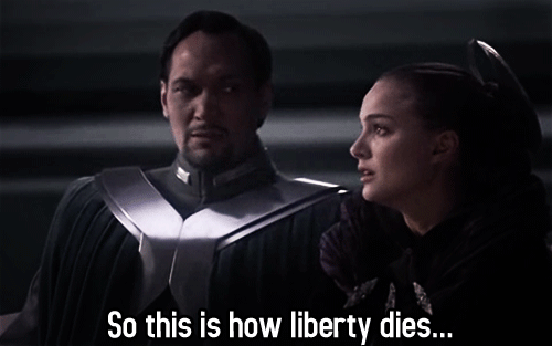 3T8g.gif