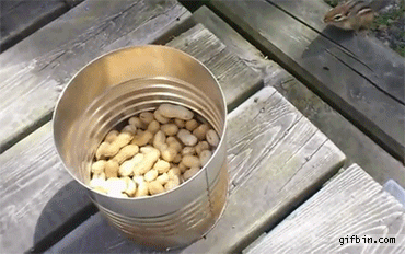 Its A Trap Gif 2 Its A Trap Gif 2