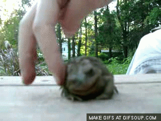 3XOp.gif