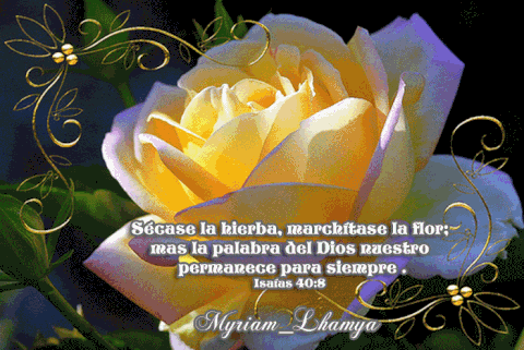 This Is 40 Gif On Gifer By Lailis