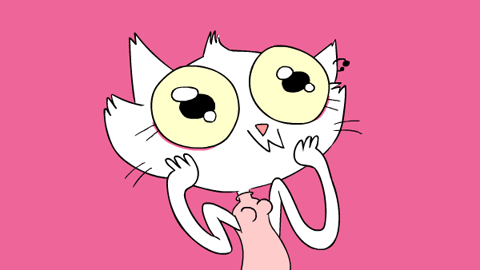 Gif Omg Kitty Eyeballs Cartoon Cat Animated Gif On Gifer By Mukasa
