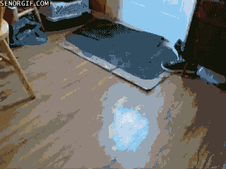 Colere Cat Fight Gif On Gifer By Shaktigar