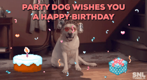 На этой анимированной гифке: party dog, dog birthday, Скачайте гиф с днем р...