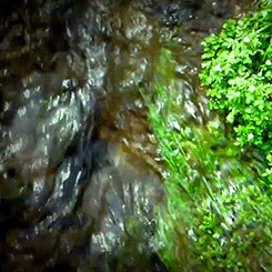 GIF waterfall water river water - animated GIF on GIFER - by Akinorn