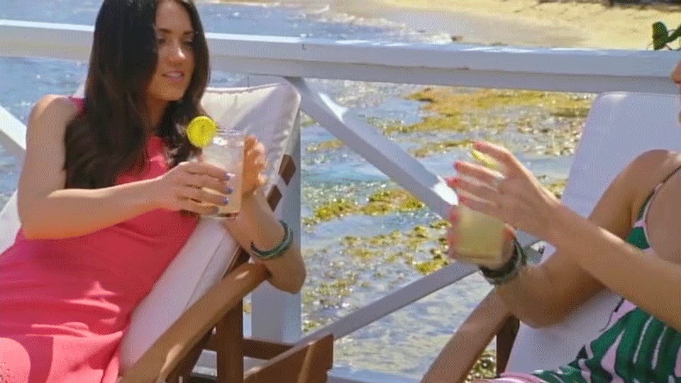 Cheers Fox Summer Gif On Gifer By Dorisida