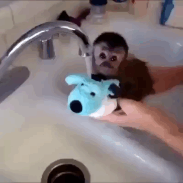 Bebe Mono Enfant Gif On Gifer By Taur