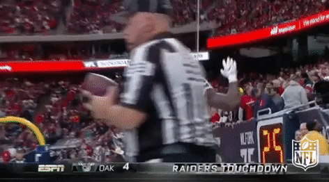 Touchdown Animation Nfl Football nfl celebration GIF on GIFER - by Darn
