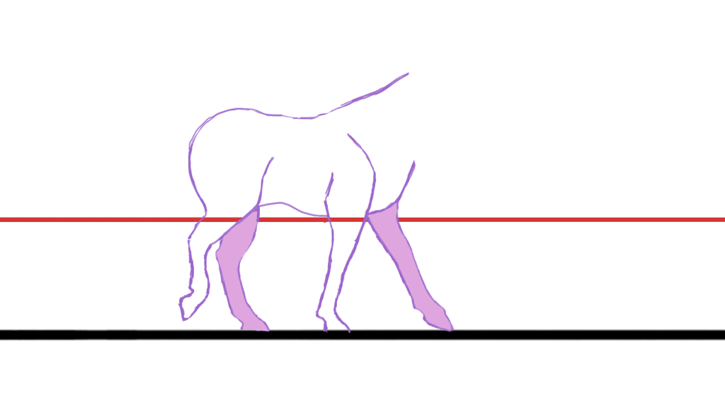 Анимированная схема. Покадровая анимация. Анимация бега оленя. Покадровая анимация движения. Раскадровка бегущей лошади.