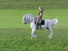 Hbo horseback drops mic GIF en GIFER - de Siragra